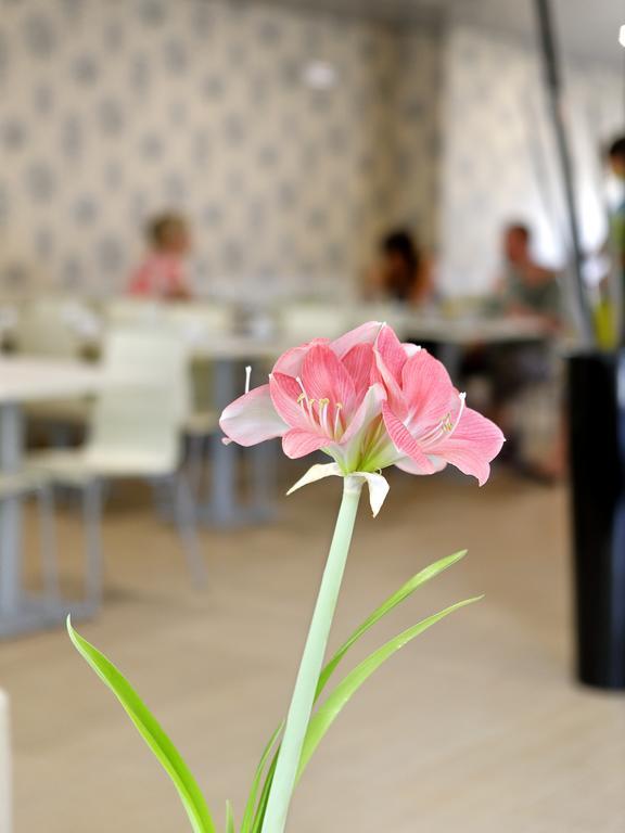 科瓦达伊里亚酒店 花地瑪 外观 照片